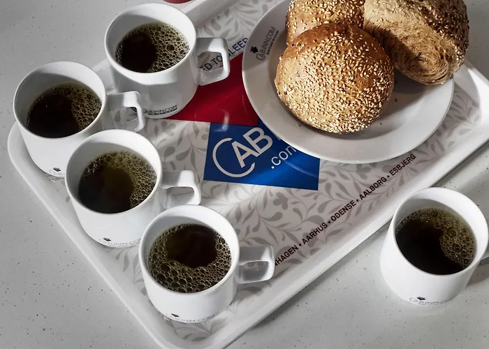 欧登塞卡宾酒店 欧登塞